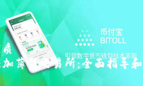 思考一个的优质
TP钱包如何添加薄饼交易所:全面指导和常见问题解答