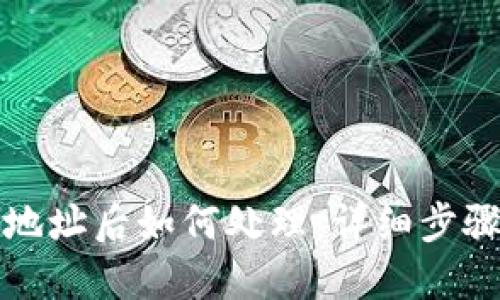TP钱包转错地址后如何处理:详细步骤与解决方案