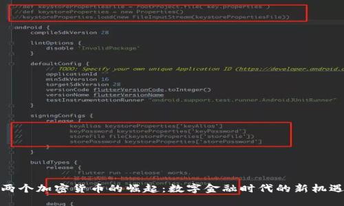 两个加密货币的崛起:数字金融时代的新机遇