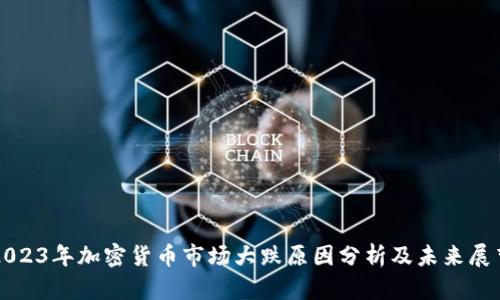 2023年加密货币市场大跌原因分析及未来展望