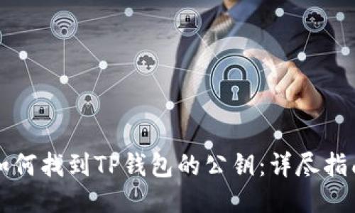 如何找到TP钱包的公钥：详尽指南