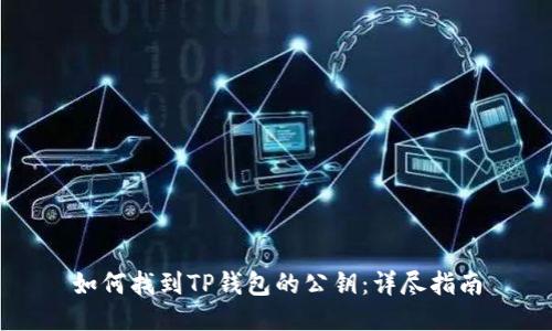 如何找到TP钱包的公钥：详尽指南