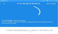 深入探索日本新加密数字货币的发展与影响