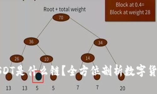 TP钱包中的USDT是什么链？全方位剖析数字货币的背后秘密