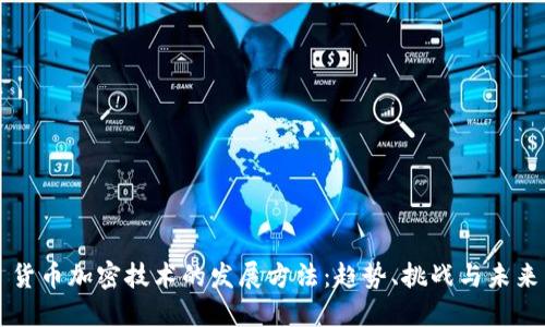 货币加密技术的发展方法：趋势、挑战与未来