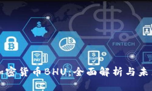 数字加密货币BHU:全面解析与未来展望