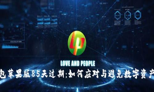 TP钱包苹果版85天过期：如何应对与避免数字资产损失