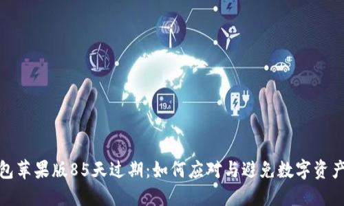TP钱包苹果版85天过期：如何应对与避免数字资产损失
