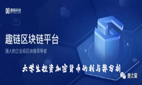 大学生投资加密货币的利与弊分析