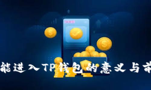 虚拟币能进入TP钱包的意义与前景分析