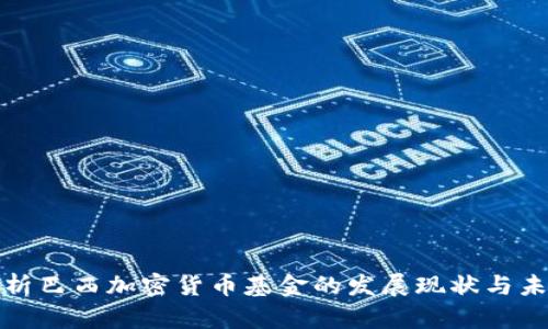 全面解析巴西加密货币基金的发展现状与未来趋势