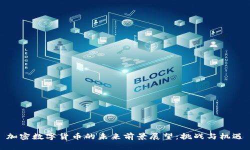 加密数字货币的未来前景展望:挑战与机遇
