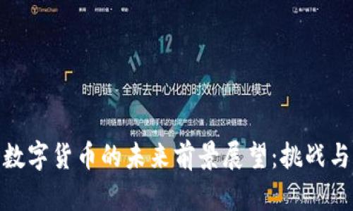 加密数字货币的未来前景展望:挑战与机遇