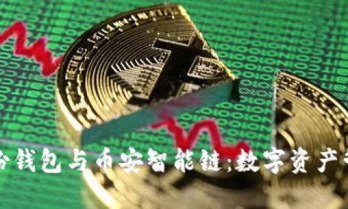 TP钱包身份钱包与币安智能链:数字资产管理的未来