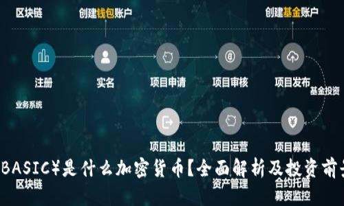 贝司(BASIC)是什么加密货币?全面解析及投资前景分析