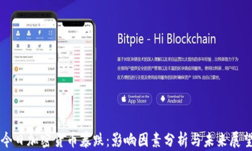 今日加密货币暴跌:影响因素分析与未来展望