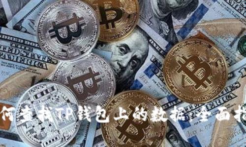 如何查找TP钱包上的数据:全面指南