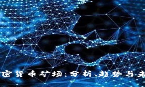 新疆加密货币矿场:分析、趋势与未来展望