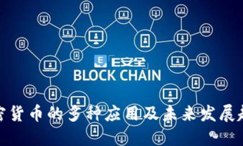 加密货币的多种应用及未来发展趋势
