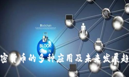 加密货币的多种应用及未来发展趋势