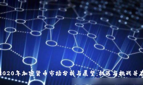 2020年加密货币市场分析与展望:机遇与挑战并存