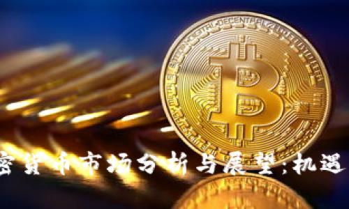 2020年加密货币市场分析与展望:机遇与挑战并存