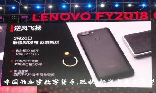 中国的加密数字货币:现状、挑战与未来展望