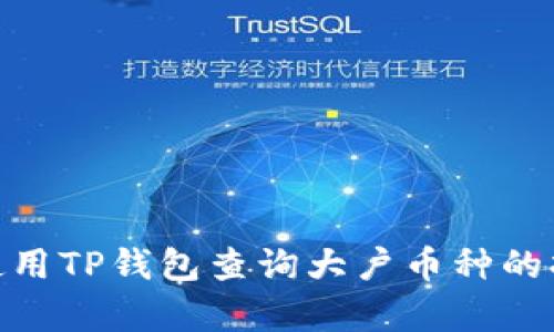 : 如何使用TP钱包查询大户币种的持有情况