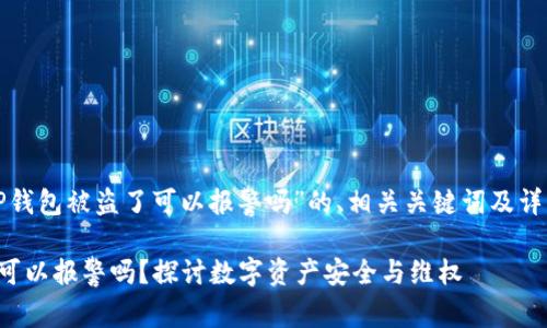 下面是关于“TP钱包被盗了可以报警吗”的、相关关键词及详细内容的结构:
TP钱包被盗了可以报警吗?探讨数字资产安全与维权