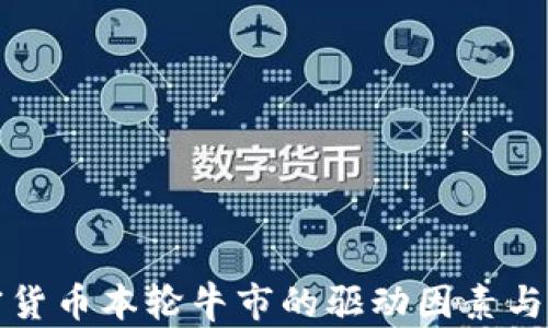 加密货币本轮牛市的驱动因素与展望