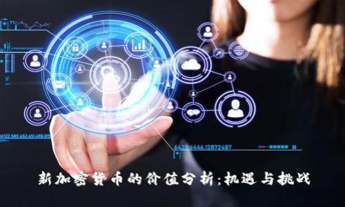 新加密货币的价值分析:机遇与挑战
