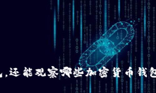除了TP钱包,还能观察哪些加密货币钱包及其功能?