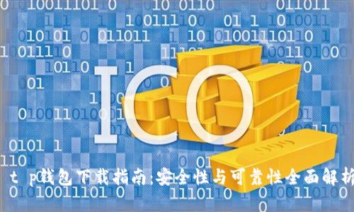 t p钱包下载指南:安全性与可靠性全面解析