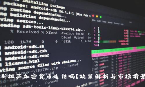 巴基斯坦买加密货币违法吗?政策解析与市场前景分析