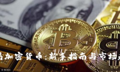 加速入局加密货币:新手指南与市场趋势分析