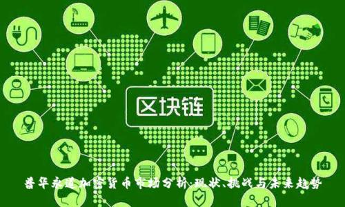 普华永道加密货币市场分析:现状、挑战与未来趋势