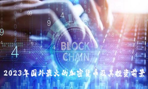 2023年国外最火的加密货币及其投资前景