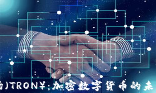 深入分析波场(TRON):加密数字货币的未来前景与应用