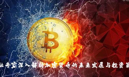金融专家深入解析加密货币的未来发展与投资策略