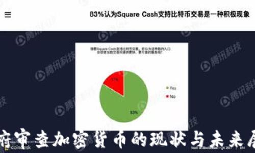 
政府审查加密货币的现状与未来展望