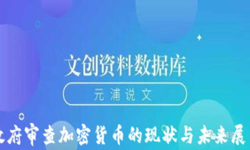 
政府审查加密货币的现状与未来展望