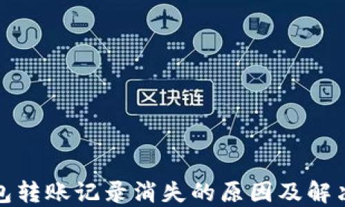 
TP钱包转账记录消失的原因及解决方案
