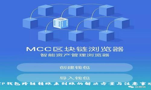 TP钱包跨链转账未到账的解决方案与注意事项