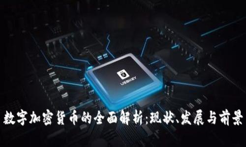 数字加密货币的全面解析:现状、发展与前景