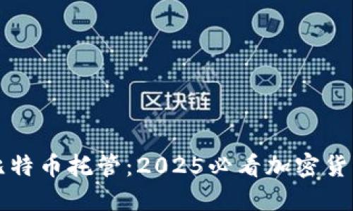 立即了解比特币托管:2025必看加密货币投资策略