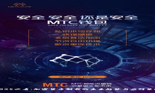 2025必看:加密货币制裁的未来趋势与应对策略