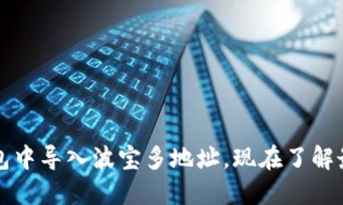 如何在TP钱包中导入波宝多地址,现在了解最全面的方法