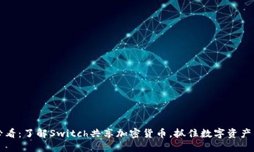 2025必看：了解Switch共享加密货币，抓住数字资产的未来！