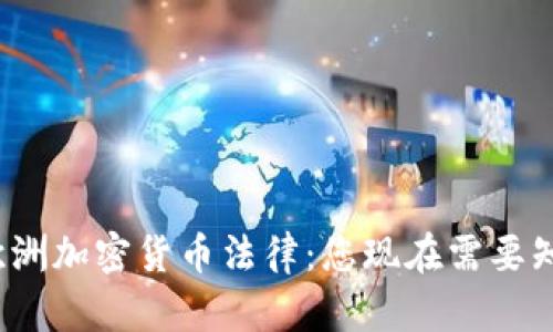 2024年欧洲加密货币法律:您现在需要知道的一切