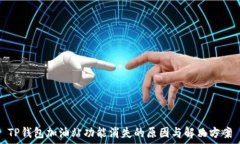   TP钱包加油站功能消失的原因与解决方案